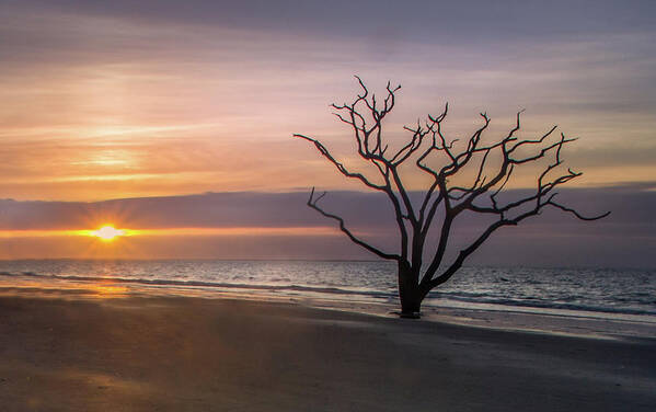 Sunrisek Poster featuring the photograph Botany Bay Sunrise by James Woody