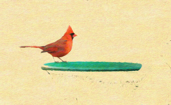 Cardinal Poster featuring the photograph Cardinal Red Bird by Diane Lindon Coy