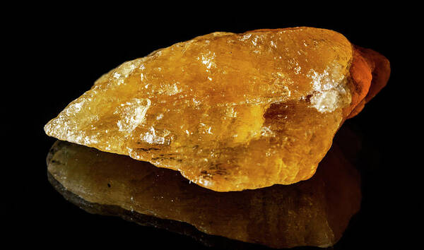 Citrine Poster featuring the photograph Citrine by Lonnie Paulson