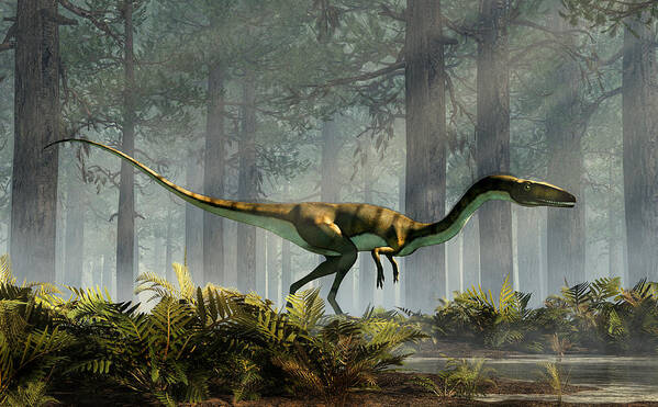 Coelophysis Poster featuring the digital art Coelophysis in a Forest by Daniel Eskridge