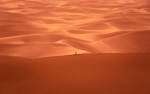 Landscape Poster featuring the photograph Contemplation Of The Desert by Miroslaw