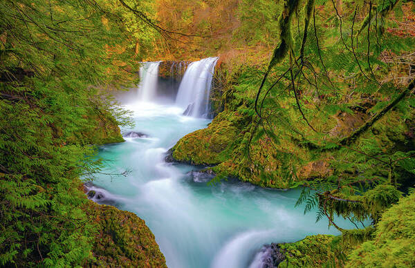 Waterfall Poster featuring the photograph Cool Mountain Water Flows Outward to the Sea by Gary Kochel