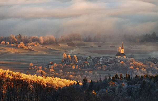 Winter Poster featuring the photograph Early Winter Morning by Ales Komovec
