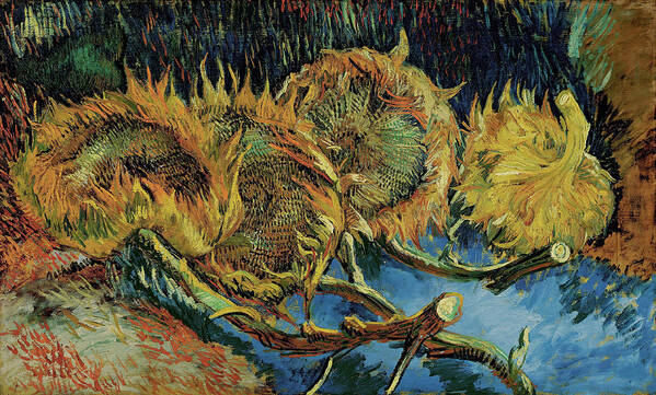 1887 Poster featuring the painting Four sunflowers gone to seed by Vincent van Gogh