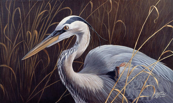 Great Blue Heron In The Grasses Poster featuring the painting Great Blue Heron by Wilhelm Goebel