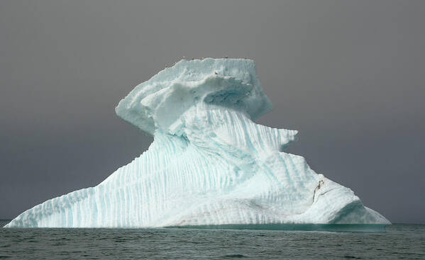 Arctic Poster featuring the photograph Iceberg #3 by Minnie Gallman