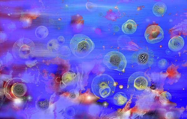 Jellyfishes 1 Poster featuring the digital art Jellyfishes 1 by Natalia Rudzina