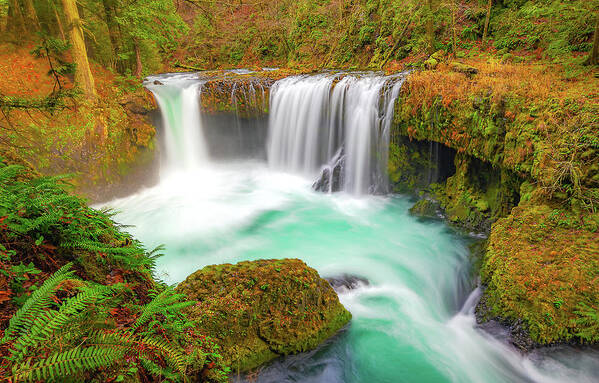 Waterfall Poster featuring the photograph Magical Waters by Gary Kochel