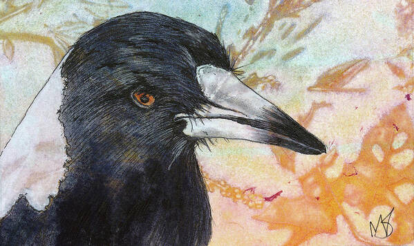 Corvid Poster featuring the painting Magpie by Marie Stone-van Vuuren