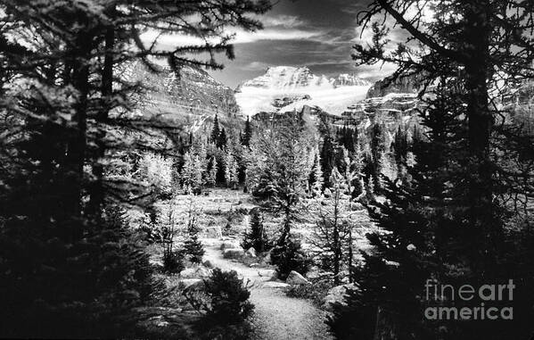 Fine Art Black And White Poster featuring the photograph Mount Fay from Larch Valley Trail by Steve Ember