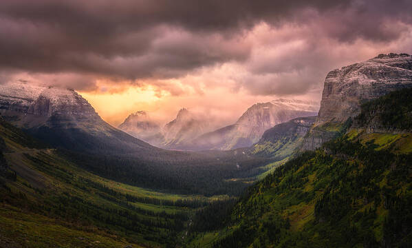 Forest Poster featuring the photograph Mountain View (glacier National Park) by Yy Db