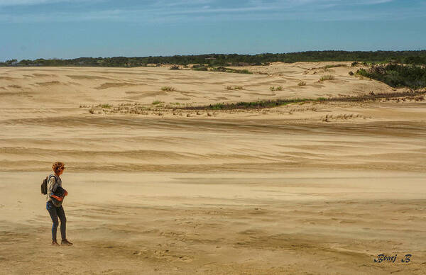 Outerbanks Poster featuring the photograph On the Dunes by Bearj B Photo Art