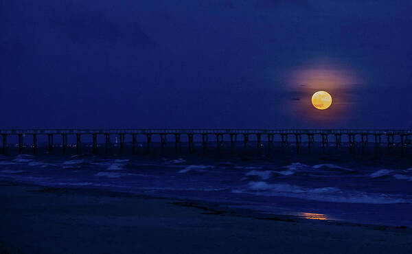 Moon Poster featuring the photograph Pier and Moon by Nick Noble