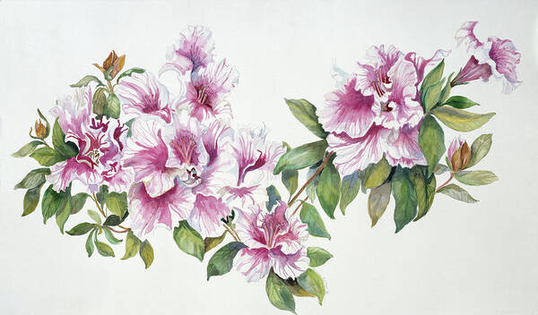 Pink Azaleas Poster featuring the painting Pink Azaleas by Joanne Porter