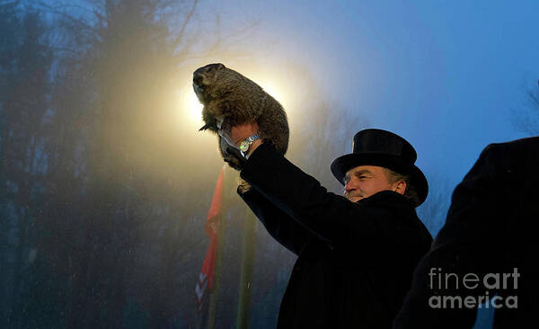 Shadow Poster featuring the photograph Punxsutawney Phil Makes Annual Forecast by Jeff Swensen