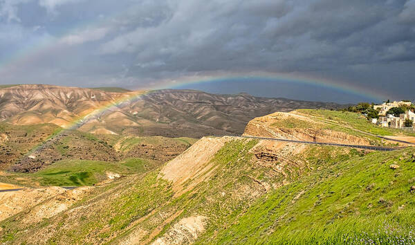 Hot Poster featuring the photograph Rainbow in the Judean Desert 2 by Roberta Kayne