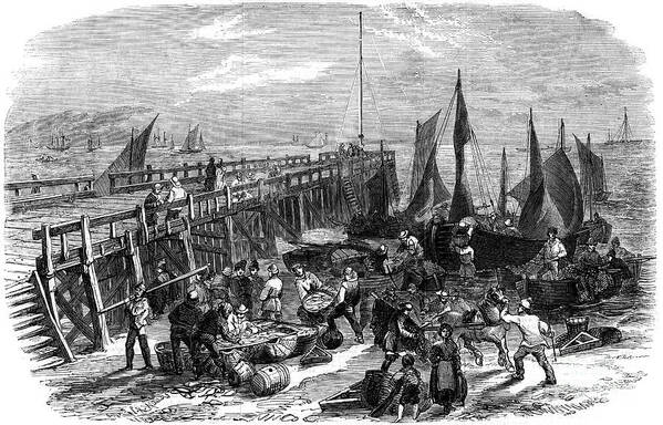 Engraving Poster featuring the drawing Return Of The Herring Boats, Yarmouth by Print Collector
