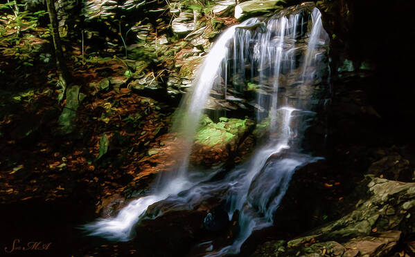 Pennsylvania Poster featuring the photograph Ricketts Glen 15 95-031 by Scott McAllister