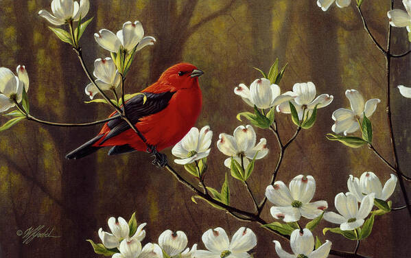 Scarlet Tanager On A Blossoming Branch Poster featuring the painting Spring Light by Wilhelm Goebel