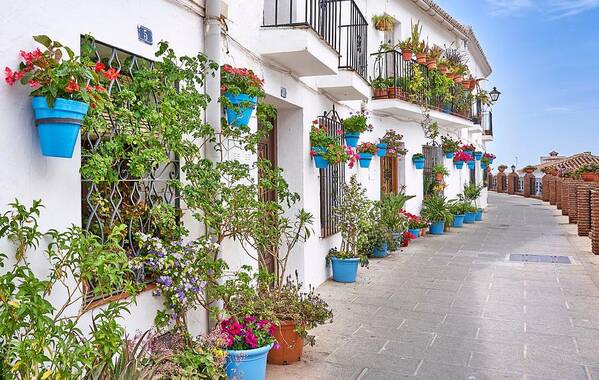 Flowers Poster featuring the photograph Street In The Mijas, White Village by Jan Wlodarczyk