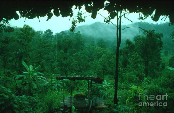 Thailand Poster featuring the photograph Tropical Rain Forest by Andrew Clarke/science Photo Library