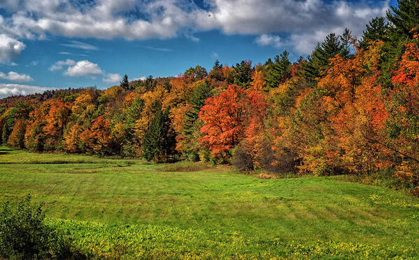 Hayward Garden Putney Vermont Poster featuring the photograph Vermont Autumn Colors by Tom Singleton