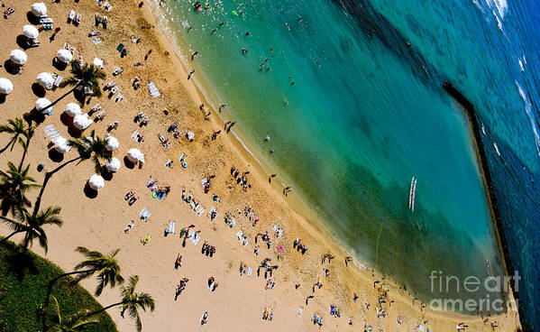 Waikiki Beach Poster featuring the photograph Waikiki Beach Life from Above by Debra Banks
