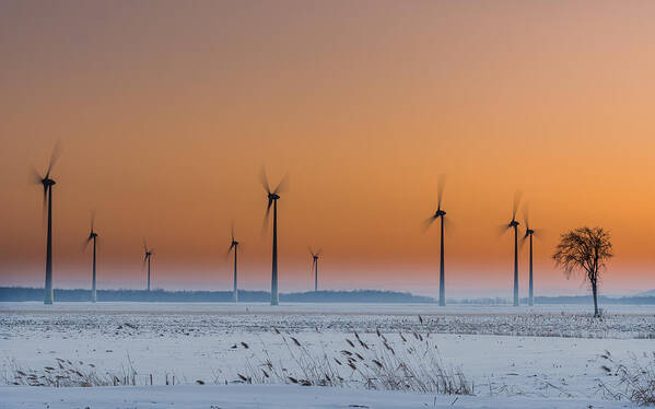 Wind Poster featuring the photograph Wind Turbines An A Lonely Tree by Patrick Dessureault