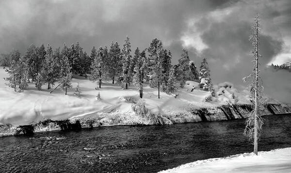 Trees. Winter Poster featuring the photograph Winter Treeline by Art Cole