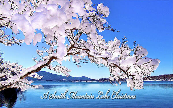 Smith Mountain Lake Christmas Cards Poster featuring the photograph A Smith Mountain Lake Christmas #1 by The James Roney Collection