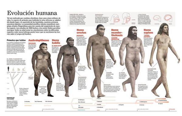 Evolucion Poster featuring the digital art Evolucion Humana #1 by Album