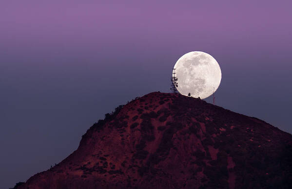 Lunar Poster featuring the photograph Lunar Vision by Shelby Erickson