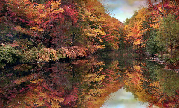 Autumn Poster featuring the photograph Foliage Reflections by Jessica Jenney