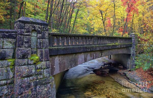 Autumn Poster featuring the photograph Autumn Over the River by Blaine Owens