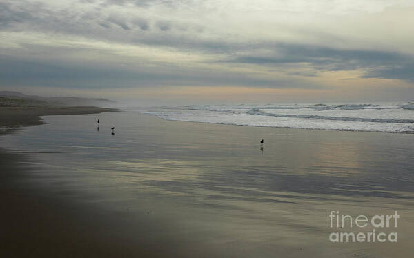 Surf Beach Poster featuring the photograph Beach Birds by James Moore