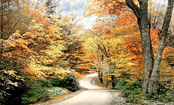 Autumn Poster featuring the photograph Blackwater Falls Autumn Road by Michael Forte