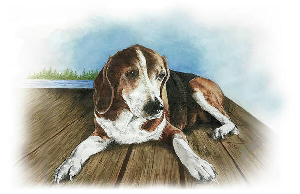 Commissioned Beagle Watercolour Art By Patrice Poster featuring the painting Charlie by Patrice Clarkson