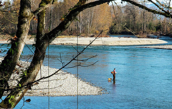 Fishing The Skykomish Poster featuring the photograph Fishing the Skykomish by Tom Cochran