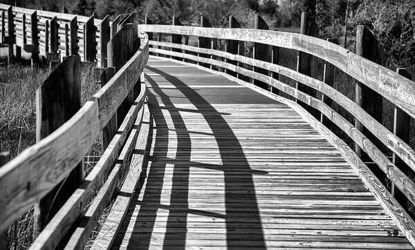 Hike Poster featuring the photograph Foot Bridge to Outdoors Adventure - Eastern NC by Bob Decker