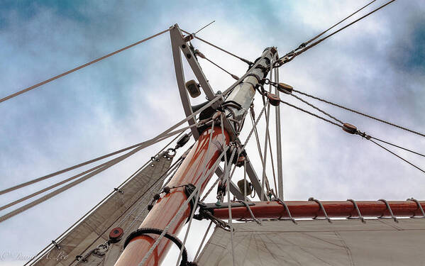 Schooner Poster featuring the photograph Foremast by David Lee