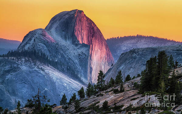 Half Dome Poster featuring the photograph Half Dome Sunset by Anthony Michael Bonafede