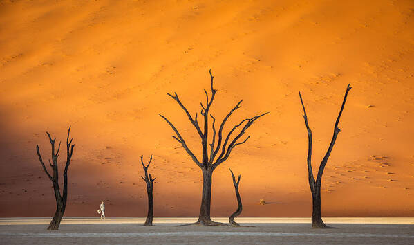 Deadvlei Poster featuring the photograph Lady in White by Peter Boehringer