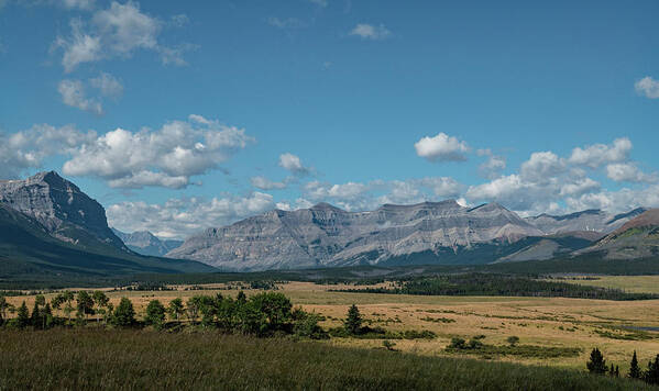 Landscape Poster featuring the photograph Landscape in the Alberta Rockies by Karen Rispin