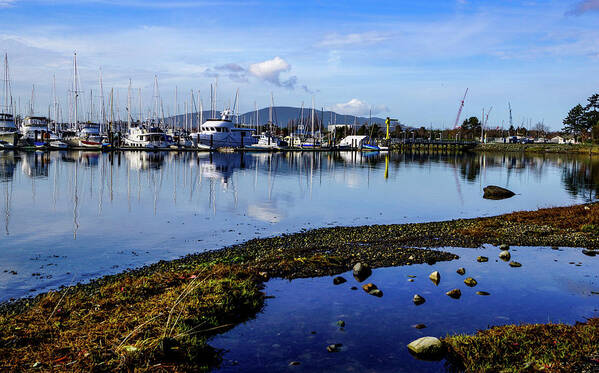 Cap Sante Poster featuring the photograph Marina North by Tim Dussault