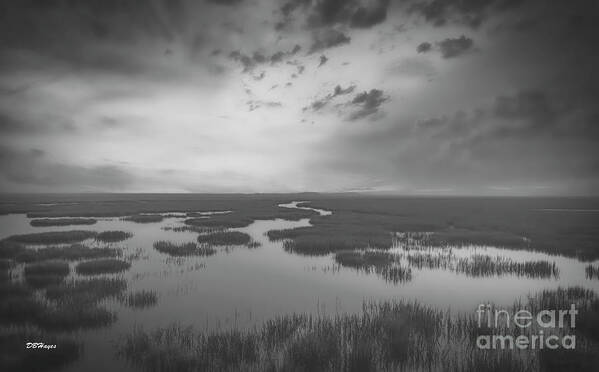 Landscapes Poster featuring the photograph Marshes of Glynn 2 by DB Hayes