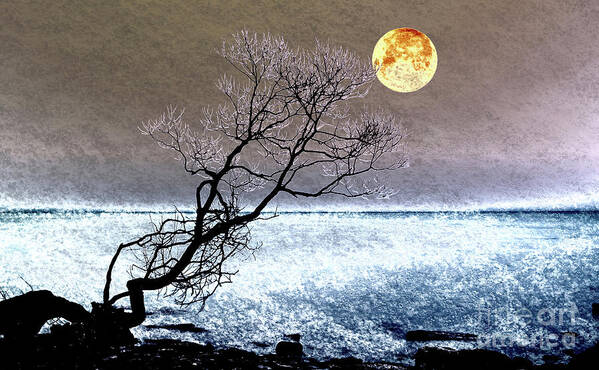 Moon; Landscape; Tree; Beach; Toned; Sepia; Blue; Night; Evening; Artistic; Beautiful; Full Moon; Lake; Water; Sky; Moonstruck; Solitude; Reaching; Supermoon; Lunatic; Desire; Water; Texture; Textured; Impression; Impressionist Poster featuring the photograph Moonstruck by Charline Xia