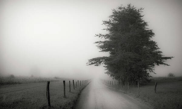 Landscapes Poster featuring the photograph Morning on a Country Road by David Hilton