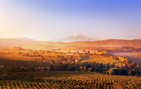 Mt Hood Poster featuring the photograph A breathtaking aerial view of Mount Hood, standing tall and proud amidst a stunning autumn landscape by Chris Anson