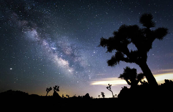 Milkyway Poster featuring the photograph Nightscape by Tassanee Angiolillo