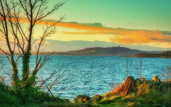 Ireland Poster featuring the photograph Serene Scrabo by Martyn Boyd